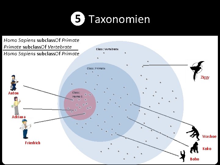 ❺ Taxonomien Homo Sapiens subclass. Of Primate subclass. Of Vertebrate Homo Sapiens subclass. Of