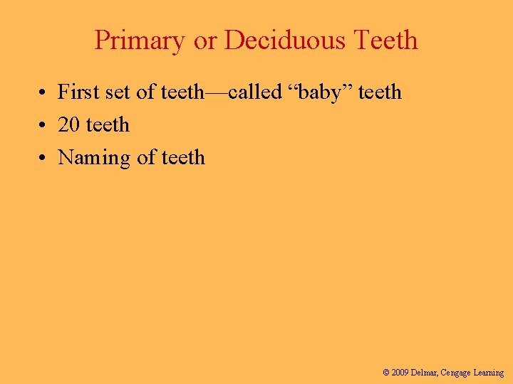 Primary or Deciduous Teeth • First set of teeth—called “baby” teeth • 20 teeth