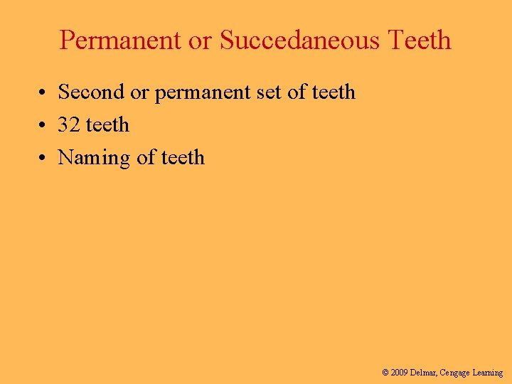 Permanent or Succedaneous Teeth • Second or permanent set of teeth • 32 teeth