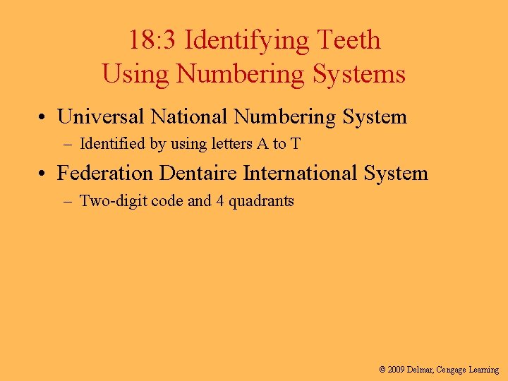18: 3 Identifying Teeth Using Numbering Systems • Universal National Numbering System – Identified
