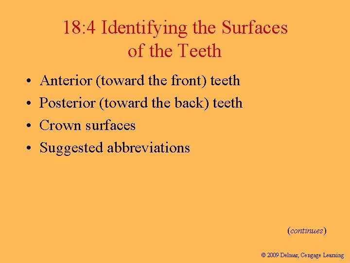 18: 4 Identifying the Surfaces of the Teeth • • Anterior (toward the front)