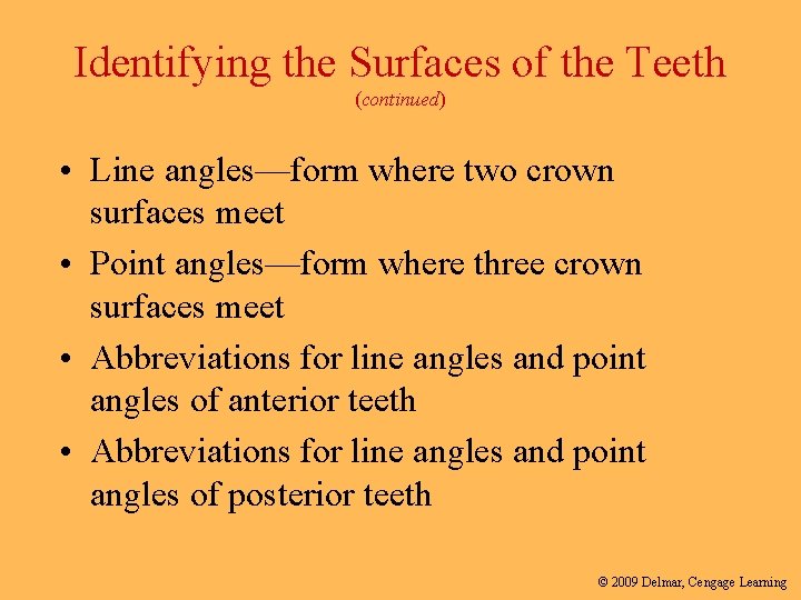 Identifying the Surfaces of the Teeth (continued) • Line angles—form where two crown surfaces