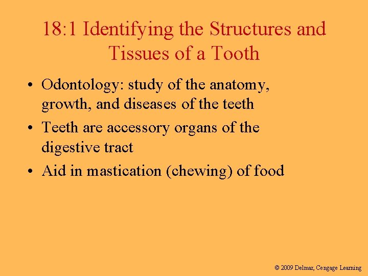 18: 1 Identifying the Structures and Tissues of a Tooth • Odontology: study of