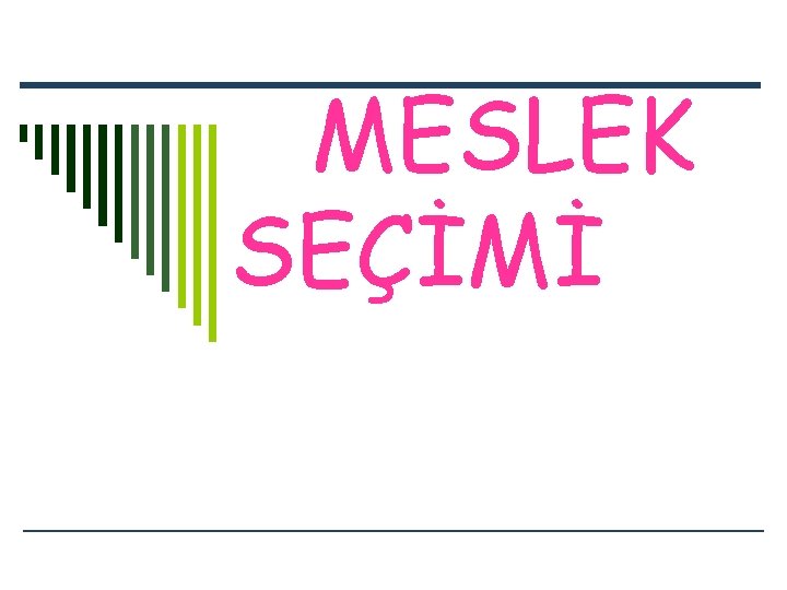 MESLEK SEÇİMİ 