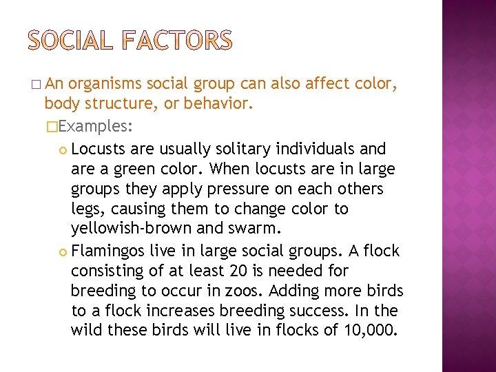 � An organisms social group can also affect color, body structure, or behavior. �Examples: