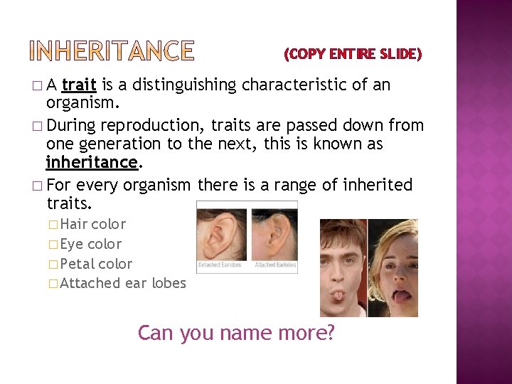 (COPY ENTIRE SLIDE) �A trait is a distinguishing characteristic of an organism. � During