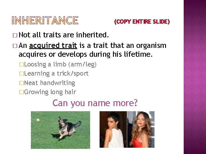 (COPY ENTIRE SLIDE) � Not all traits are inherited. � An acquired trait is