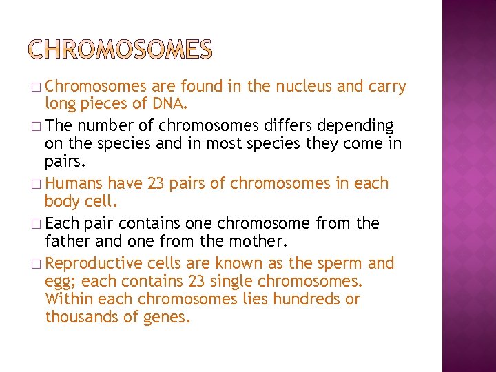 � Chromosomes are found in the nucleus and carry long pieces of DNA. �