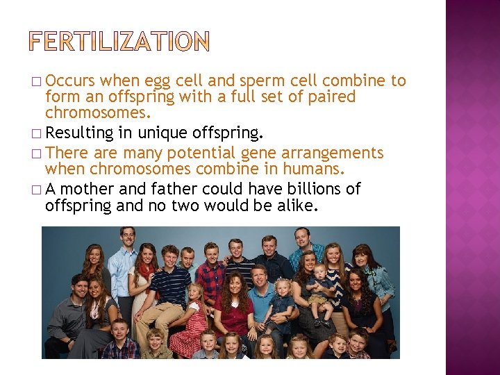 � Occurs when egg cell and sperm cell combine to form an offspring with