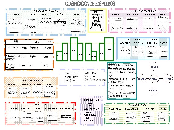 PULSOS SUPERFICIALES: FLOTANTE. OLEANTE. . HUECO. PULSOS PROFUNDOS: TIMPÁNICO. DISPERSO. HUNDIDO. ESCONDIDO. CONFINADO. DÉBIL.