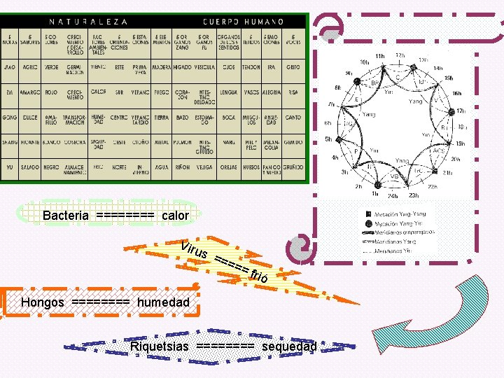 Bacteria ==== calor Viru s = === = fr ió Hongos ==== humedad Riquetsias