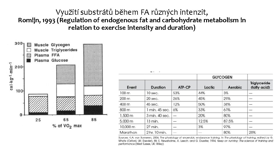 Využití substrátů během FA různých intenzit, Romijn, 1993 (Regulation of endogenous fat and carbohydrate