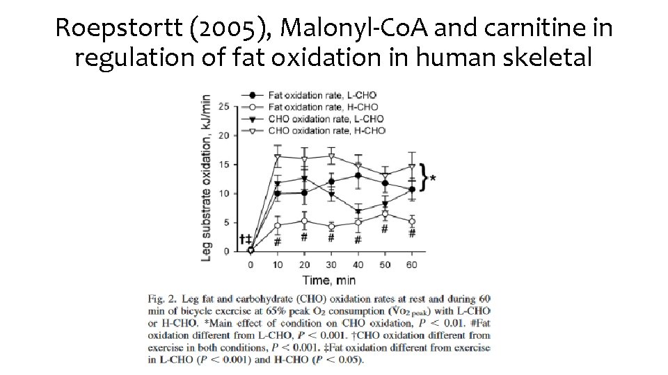 Roepstortt (2005), Malonyl-Co. A and carnitine in regulation of fat oxidation in human skeletal