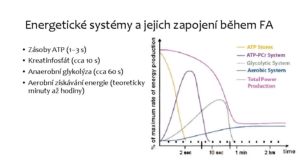 Energetické systémy a jejich zapojení během FA • • Zásoby ATP (1– 3 s)