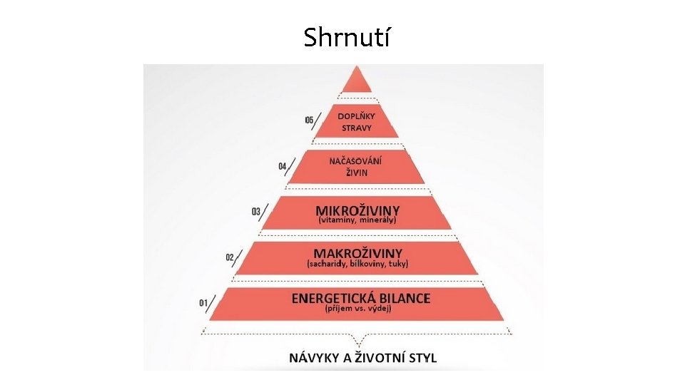 Shrnutí 