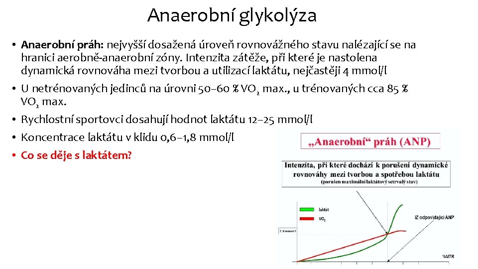 Anaerobní glykolýza • Anaerobní práh: nejvyšší dosažená úroveň rovnovážného stavu nalézající se na hranici