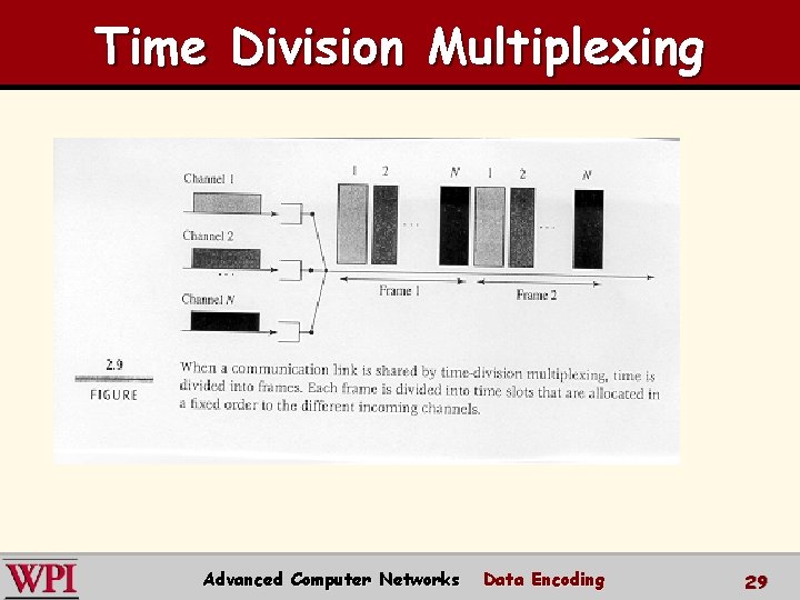 Time Division Multiplexing Advanced Computer Networks Data Encoding 29 