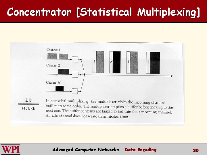 Concentrator [Statistical Multiplexing] Advanced Computer Networks Data Encoding 30 