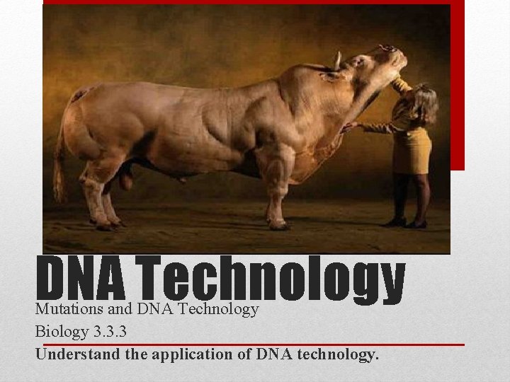 DNA Technology Mutations and DNA Technology Biology 3. 3. 3 Understand the application of