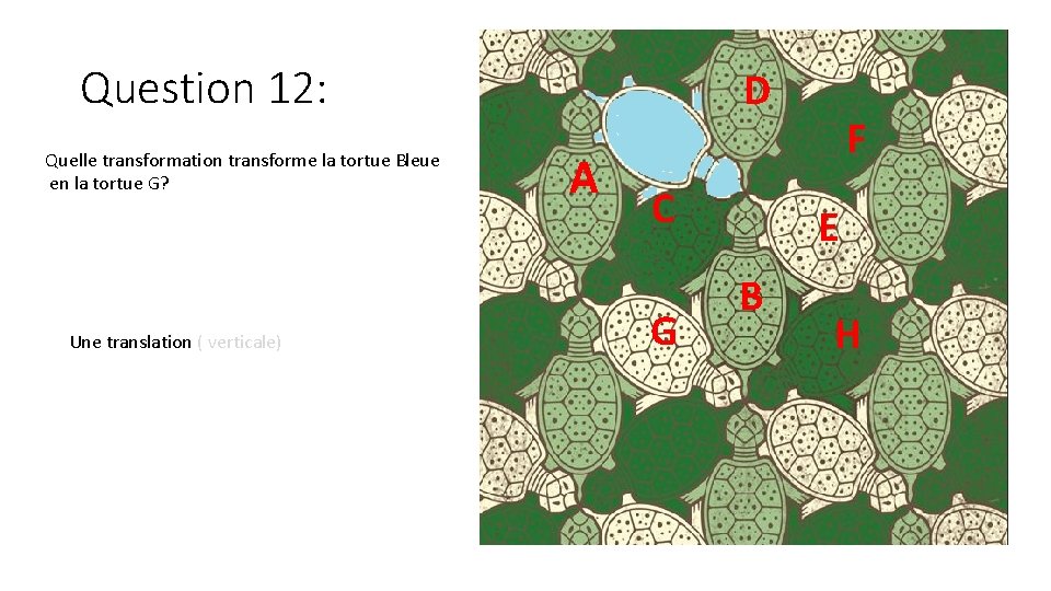 Question 12: Quelle transformation transforme la tortue Bleue en la tortue G? Une translation