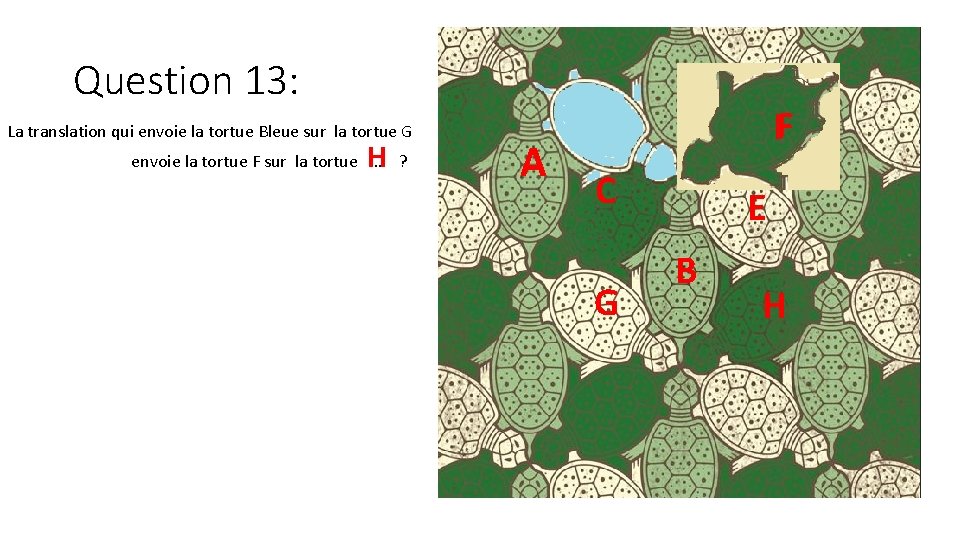 Question 13: D La translation qui envoie la tortue Bleue sur la tortue G