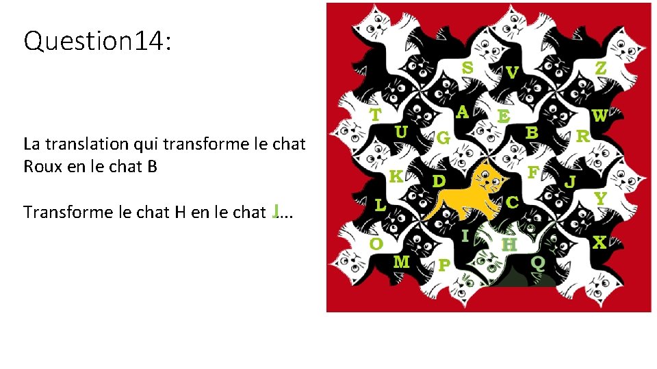 Question 14: E La translation qui transforme le chat Roux en le chat B