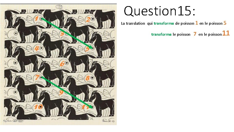 Question 15: La translation qui transforme de poisson 1 en le poisson 5 11