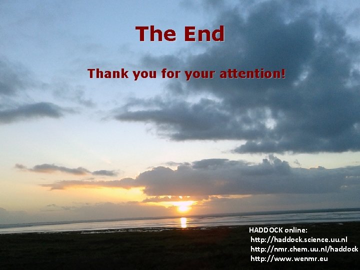 The End Thank you for your attention! HADDOCK online: http: //haddock. science. uu. nl