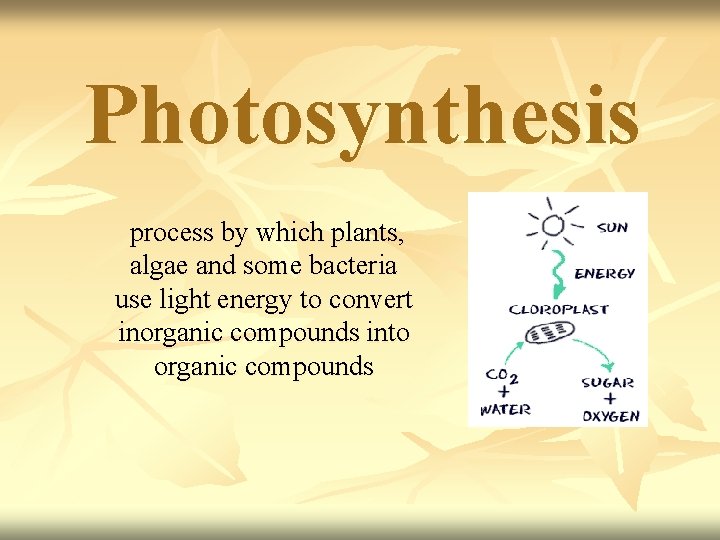 Photosynthesis process by which plants, algae and some bacteria use light energy to convert