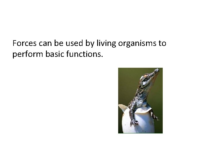 Forces can be used by living organisms to perform basic functions. 
