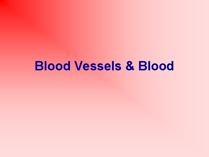 Blood Vessels & Blood 