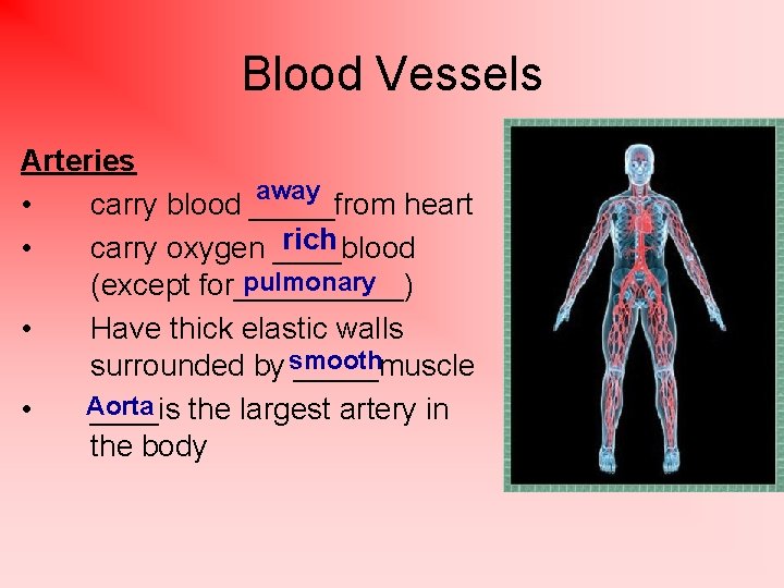 Blood Vessels Arteries away • carry blood _____from heart rich • carry oxygen ____blood