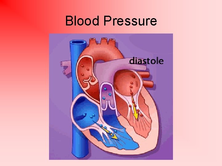 Blood Pressure 