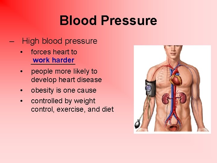 Blood Pressure – High blood pressure • • forces heart to work harder ______
