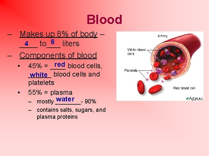 Blood – Makes up 8% of body – 6 liters 4 ____ to___ –