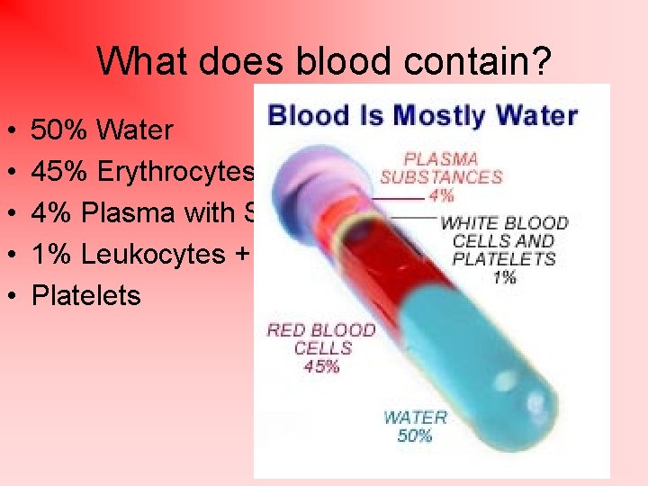 What does blood contain? • • • 50% Water 45% Erythrocytes 4% Plasma with
