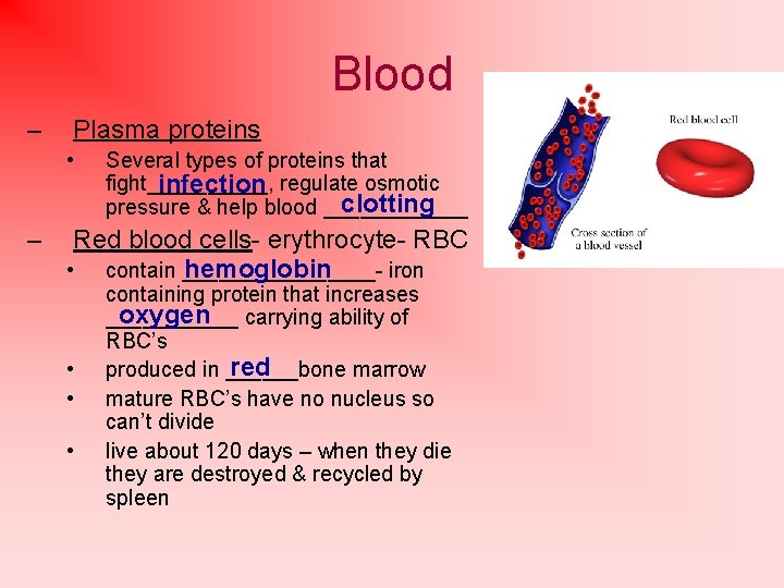 Blood – Plasma proteins • – Several types of proteins that fight_____, infection regulate