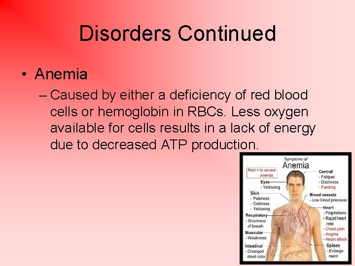 Disorders Continued • Anemia – Caused by either a deficiency of red blood cells