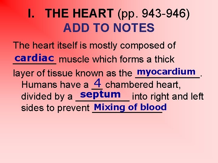 I. THE HEART (pp. 943 -946) ADD TO NOTES The heart itself is mostly