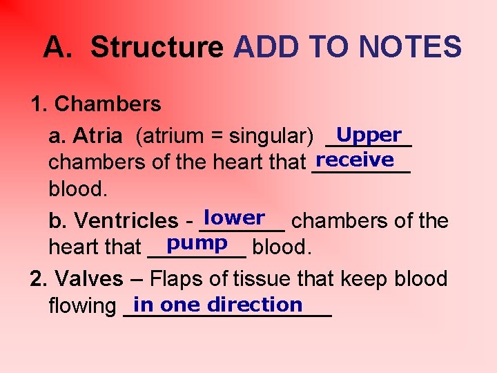 A. Structure ADD TO NOTES 1. Chambers Upper a. Atria (atrium = singular) _______