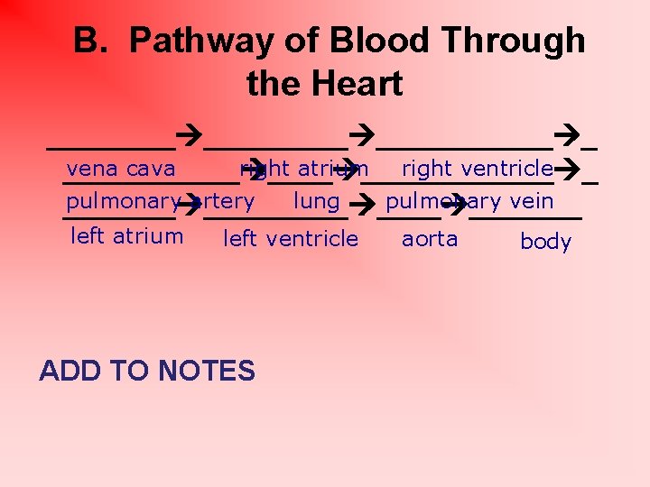 B. Pathway of Blood Through the Heart _________ _ vena cava right atrium right