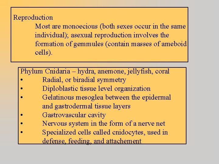 Reproduction Most are monoecious (both sexes occur in the same individual); asexual reproduction involves