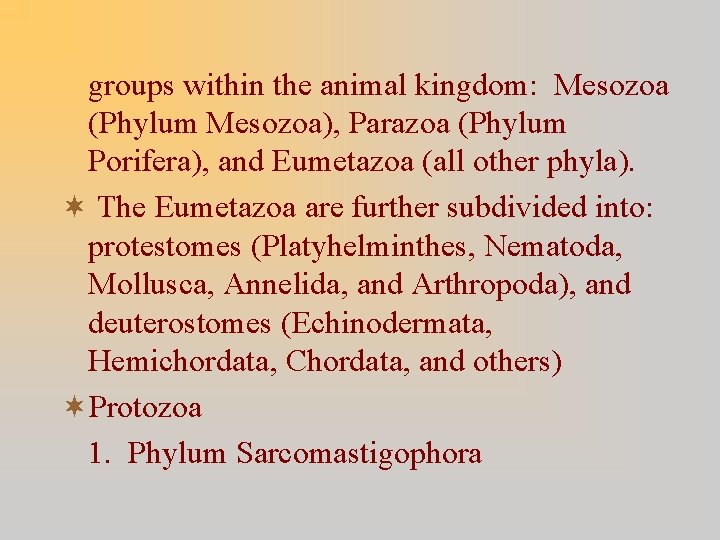 groups within the animal kingdom: Mesozoa (Phylum Mesozoa), Parazoa (Phylum Porifera), and Eumetazoa (all