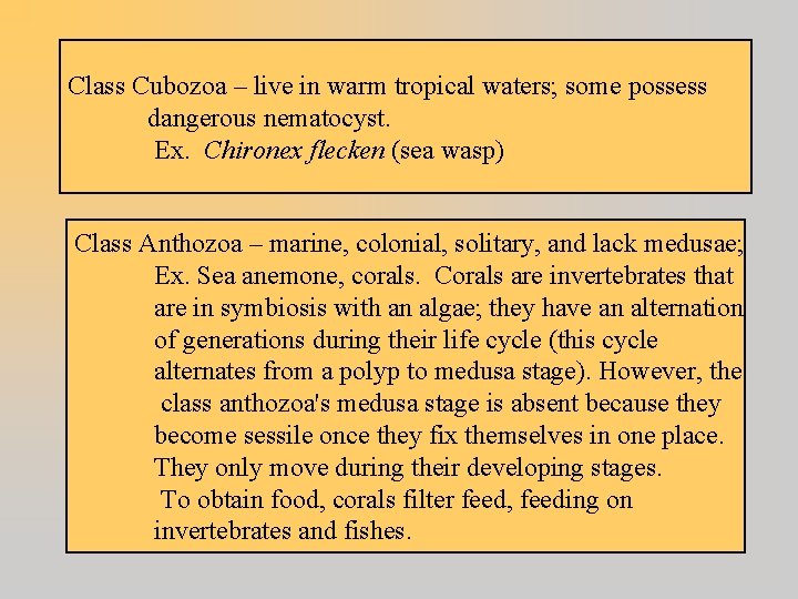 Class Cubozoa – live in warm tropical waters; some possess dangerous nematocyst. Ex. Chironex