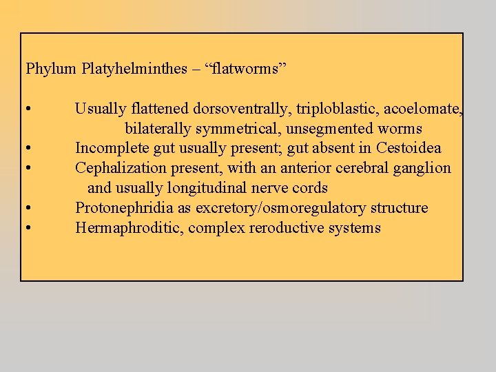 Phylum Platyhelminthes – “flatworms” • • • Usually flattened dorsoventrally, triploblastic, acoelomate, bilaterally symmetrical,