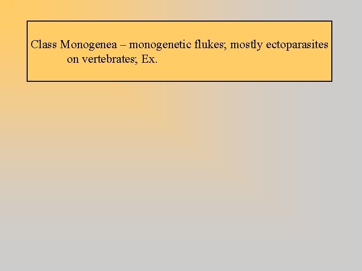 Class Monogenea – monogenetic flukes; mostly ectoparasites on vertebrates; Ex. 