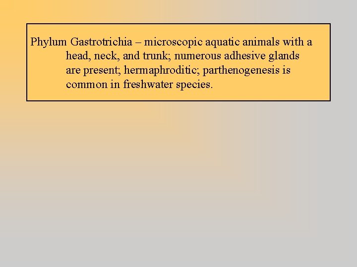 Phylum Gastrotrichia – microscopic aquatic animals with a head, neck, and trunk; numerous adhesive