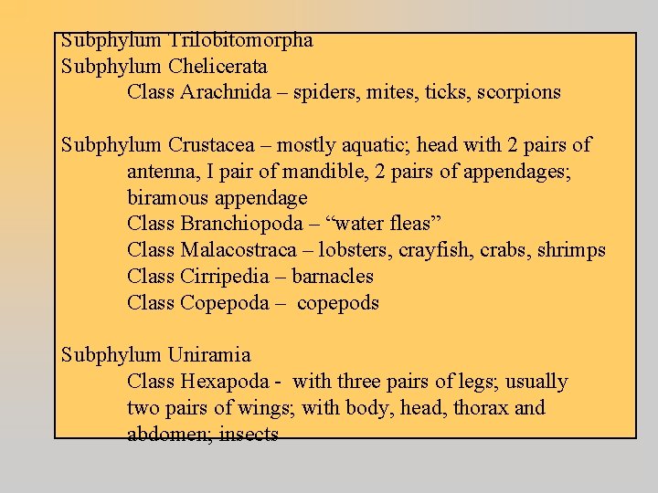 Subphylum Trilobitomorpha Subphylum Chelicerata Class Arachnida – spiders, mites, ticks, scorpions Subphylum Crustacea –