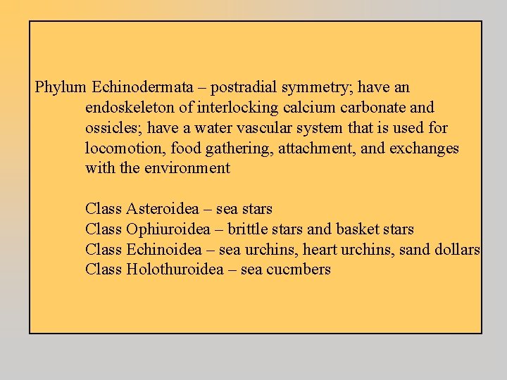 Phylum Echinodermata – postradial symmetry; have an endoskeleton of interlocking calcium carbonate and ossicles;