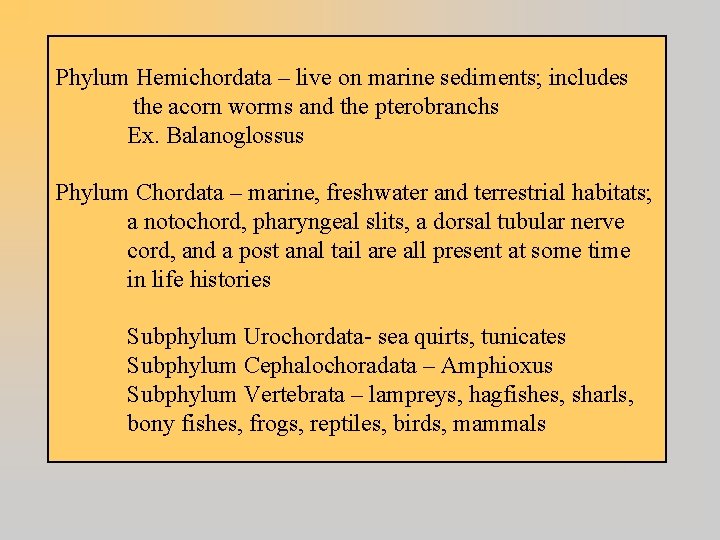 Phylum Hemichordata – live on marine sediments; includes the acorn worms and the pterobranchs